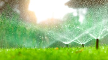 Irrigation-sprinkler-heads