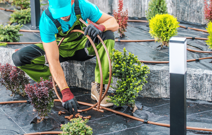 A gardener adjusting irrigation hose, surrounded by shrubs, plants, and lamp post. 