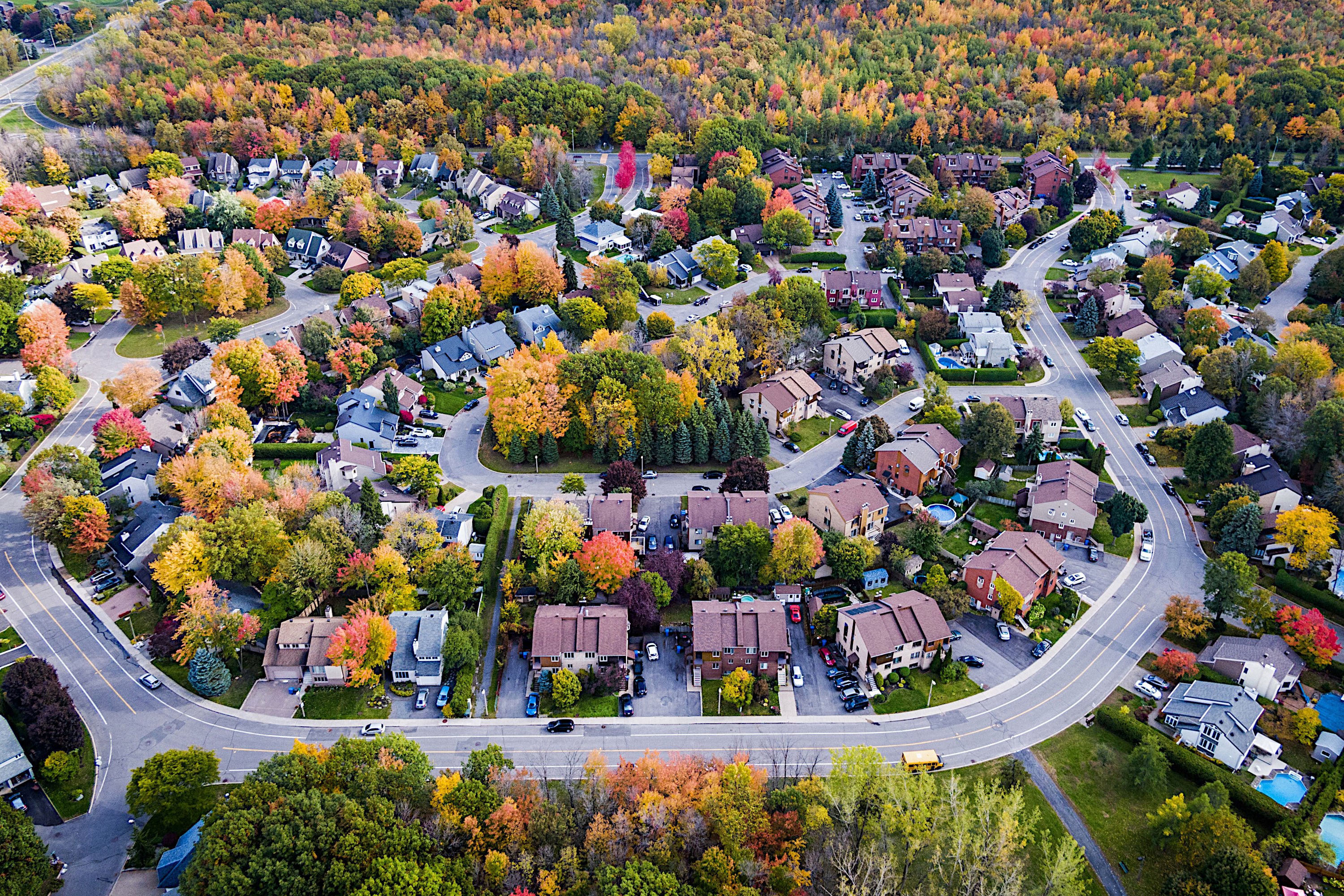 Suburban neighborhood